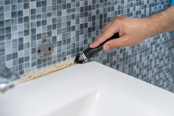 Best Mold Testing  in Lake Stevens, WA
